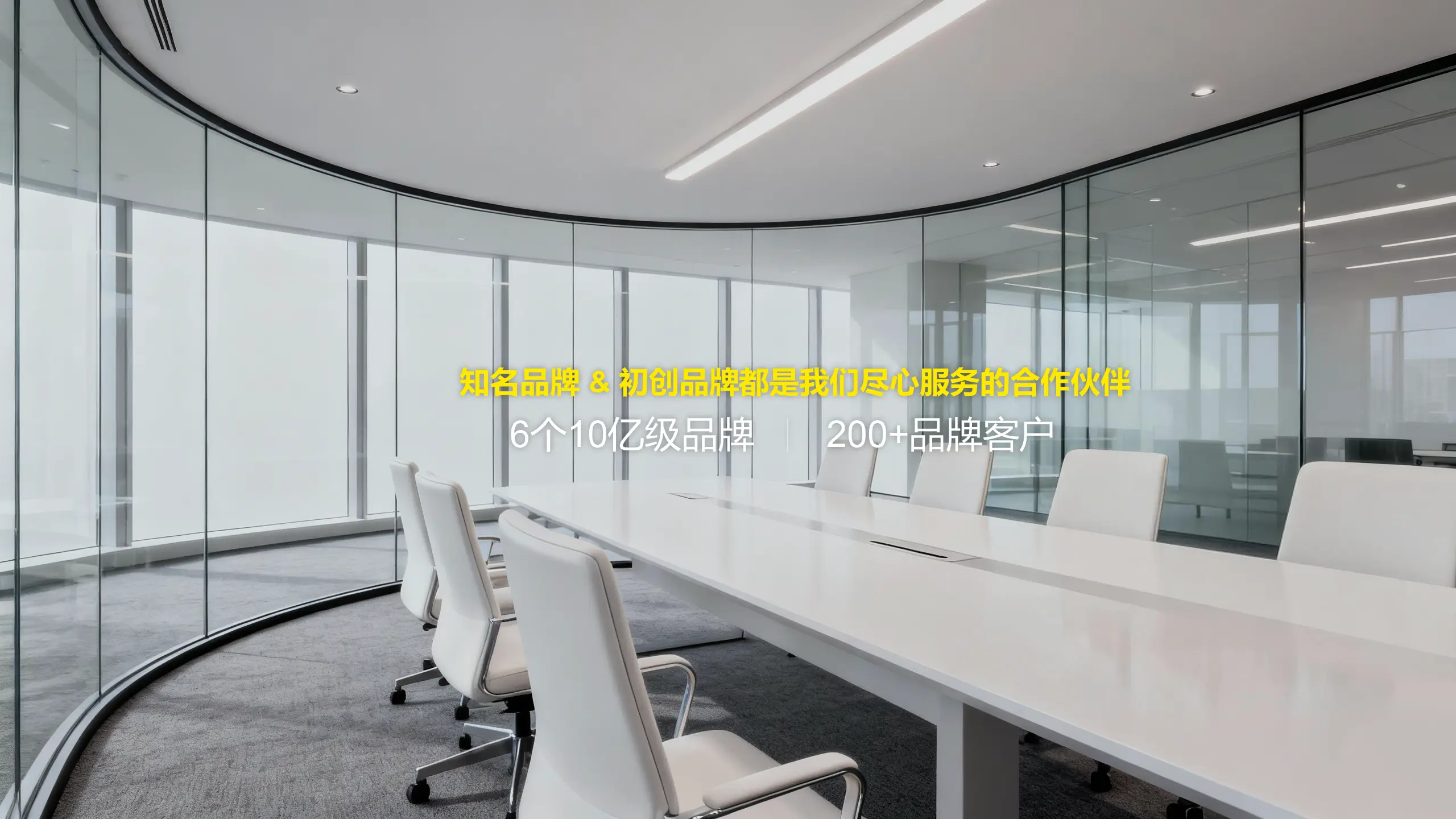 宠物品牌设计公司会议室